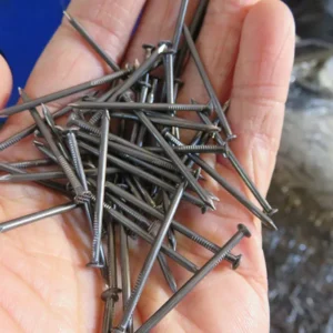 Wire Nails